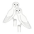 Owls. Hand ink drawing cute bird object isolated art design stock vector illustration for sticker